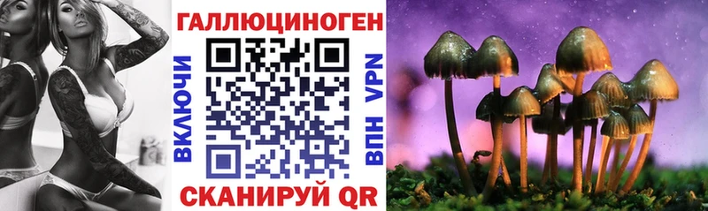 Галлюциногенные грибы Magic Shrooms  где можно купить наркотик  это формула  Свирск  гидра tor 